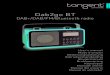DAB+/DAB/FM/Bluetooth radioshop8167.hstatic.dk/.../Tangent_Dab2go-BT_manual.pdf · • SCAN: In DAB/DAB+ mode, press this button to make a full scan; In FM mode, press this button