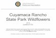 Cuyamaca Rancho State Park Wildflowers 25.pdfSuggested Trails: Minshall, Los Caballos, Azalea Springs Fire Road. Rocky areas and slopes 