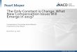 The Only Constant is Change: What New Compensation Issues ... · The Only Constant is Change: What New Compensation Issues Will Emerge in 2019? Compensation Committee Series Webinar