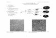 ANSC (NUTR) 618 LIPIDS & LIPID METABOLISM Adipose Tissue ...animalscience.tamu.edu/.../sites/14/2012/...Diff-1.pdf · 2. Increases total adipocyte number. C. Recruitment 1. Differentiation