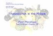 Tien-Shin Yu Institute of Plant & Microbial Biology …...Translocation in the Phloem Plant Physiology Taiz & Zeiger Chapter 10 Tien-Shin Yu Institute of Plant & Microbial Biology