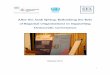 After the Arab Spring: Rethinking the Role1360/fconfreport_afterarabspri… · 3 After the Arab Spring: Rethinking the Role of Regional Organisations in Supporting Democratic Governance