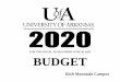 FOR THE FISCAL YEAR ENDING JUNE 30, 2019 BUDGET · UA Rich Mountain Fiscal Year 2021 Budgeted Unrestricted Revenue 2020-2021 2019-2020 Revenue Budget Budget Change Tuition: Polk County