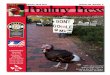 UPC Winter 2016-2017 Poultry Press - Volume 26, Number 3 · United Poultry Concerns • (757) 678-7875 3 P.O. Box 150 • Machipongo, VA 23405-0150 Volume 26, Number 3 United Poultry