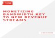 MONETIZING BANDWIDTH KEY TO NEW REVENUE STREAMS · 2020-05-11 · CRM is also a critical part of monetizing bandwidth. Call center channels should be augmented with real-time capabilities