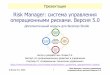Risk Manager: система управления операционными ... · 2020-02-08 · Risk Manager: система управления ©Исаев Р.А. 2020 3 операционными