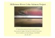 K12 Esseltine Millstone Coho Project - Fish Habitat Network · 2017-12-20 · Millstone River Coho Salmon Project 8th World Recreational Fisheries Conference Recreational Anglers