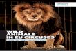 WILD ANIMALS IN EU CIRCUSES · FVE position on the use of animals in travelling circuses ... In Europe, this is reflected in the national legislation of 19 Member States, who have