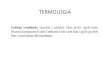 Termologia - Università degli Studi di Perugia Didattico/Fisica/Termologia.pdf · termologia. temperatura – la temperatura e’ un indice della sensazione fisiologica di caldo/freddo