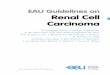 EAU Guidelines on Renal Cell Carcinoma · The EAU RCC Guidelines were first published in 2000. This 2019 RCC Guidelines document presents a limited update of the 2018 publication