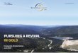 PURSUING A REVIVAL IN GOLD...2020/06/15  · presentation includes, but is not limited to, the Company’sobjectives, goals or future plans, statements, completion of a financing,