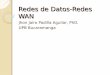 Redes de Datos-Conmutación de paquetesjpadilla.docentes.upbbga.edu.co/MPLS/0-a-Redes WAN.pdf · Motivación de las redes de paquetes Problemas de comunicación de datos en conmutación