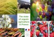 The State of Organic Agriculture in France...of organic agriculture in France French organic farming production in 2018 2 An extremly dynamic sector 9,7 bn € (1177 bn ¥) of organic