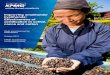 Improving smallholder livelihoods: Effectiveness of ...tatsfieldfairtradevillage.weebly.com/uploads/8/1/4/... · 4C Common Code of the Coffee Community FLO Fairtrade Labelling Organization