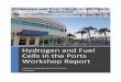 Hydrogen and Fuel Cells in the Ports Workshop Report Fi… · plants. Engines based on fuel cells or fuel cell/battery hybrids of many types and sizes are commercially available and