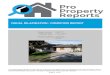 VISUAL DILAPIDATION / CONDITION REPORT · PDF file This Inspection was commissioned to carry out a dilapidation inspection of the property as noted above and provide a report reflecting