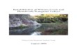 Rehabilitation of Wilsons Creek and Huonbrook/Wanganui Valleyswilsonscreeklandcare.mullum.com.au/downloads/assets/wilsons_cre… · Wilsons Creek Huonbrook Weed Management Strategy