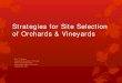 Strategies for Site Selection of Orchards & Vineyards...Strategies for Site Selection of Orchards & Vineyards Eric T. Stafne Associate Extension Professor Fruit Crops Specialist Mississippi