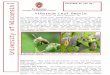 Plant Disease Diagnostics Clinic | University of Wisconsin ...€¦  · Web viewViburnum Leaf Beetle. PJ Liesch, UW Insect Diagnostic Lab. The viburnum leaf beetle (VLB), Pyrrhalta