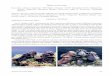 Carnivorous Plant Newsletter vol 49 no 2 June 2020Volume 49 June 2020 89 Dionaea ‘CCCP Tasmanian Devil’ Submitted: 22 January 2020 Dionaea ‘CCCP Tasmanian Devil’ is the product