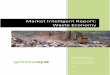 Market Intelligent Report - GreenCape€¦ · Recycling industry The average recycling rate in South Africa is 19.6%, compared to a global average of 23.3% (McKenzie, 2012).The recycling
