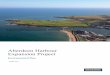 Environmental Plan - Marine Scotlandmarine.gov.scot/datafiles/lot/AHEP/CEMD/AHEP... · the Aberdeen Harbour Expansion Project (AHEP). The Plan takes into account the specific requirements