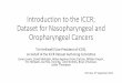 Introduction to the ICCR; Dataset for Nasopharyngeal and ...cpo-media.net/ECP/2019/Congress-Presentations/53... · Key ICCR dataset development points Commentary on data items •