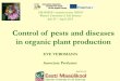 PowerPoint Presentationepos-project.net/.../EPOS_O6_EE...diseases-in-organic-plant-productio… · Control of pests and diseases with cultural methods ... The impact of nectar sources