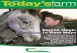 Equine Magic in West Mayo - Teagasc...branding,andScottishbeefisthemarket leader in the UK. Nonetheless, suckler cow numbers have dropped over the last decade. In 1998 theyhad 530,000