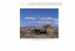 Structure and Function of Chihuahuan Desert Ecosystem The ... · Studies of animals as regulators of ecosystem processes led to the . Structure and Function of Chihuahuan Desert Ecosystem