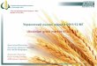 Украинский рынок зерна в 2011/12 МГ APK-Inform.pdf · Wheat exports from Ukraine in 2010/11 MY № страны / countries объем, тонн / volume, MT