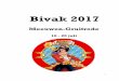 Bivak 2017 - Chirojongens Rillaar - Home · hebben is het thema Piet Piraat en alle andere verwanten op de zee. Dus bereid je maar voor en leer alles over schepen, zodat je weet wat