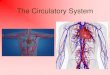 The Circulatory System - Humble Independent School District Circulatory...The Circulatory System All organisms must be able to transport nutrients and wastes. Smaller organisms rely
