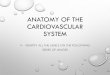 The circulatory system - clinicalexams.co.uk€¦ · the circulatory system all must be prefixed with ‘left…’ a. subclavian b. axillary c. brachial d. ant humeral circumflex