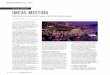 SPECIAL REPORT IMCAS MEETING - Modern Aesthetics · Their key findings included a market that is heterogeneous, both regarding market segments and geographical zones, with a solid