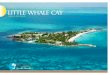 The most charming LittLe WhaLe Cay - Vladi Private Islands · PDF file Los Angeles London Fort Lauderdale Nassau Miami TO Little Whale Little Whale Nassau Nassau Little Whale Nassau