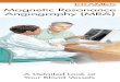 Magnetic Resonance Angiography (MRA) (PDF) · Magnetic Resonance Angiography (MRA) (PDF) Subject: 22940311 Magnetic Resonance Angiography (MRA) Keywords; 22940311 Magnetic Resonance