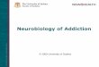 Neurobiology of Addiction€¦ · involved in the withdrawal from psychoactive drugs • Understand concepts relating to the development of addiction . Social Biological Personal