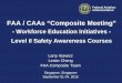 FAA / CAAs “Composite Meeting” · FAA / CAAs Composite Safety & Certification Meeting CAA of Singapore, Singapore; Sep 01- 04, 2015 Federal Aviation Administration 3 Background