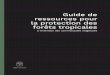 Guide de ressources pour la protection des forêts tropicales · 2020-07-02 · Guide de Ressources pour la Protection des Forêts Tropicales • 3 AVANT-PROPOS Il existe un impératif