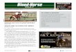 WEDNESDAY, DECEMBER 2, 2015 Dec 02, 2015  · BLOOD-HORSE DAILY Download the FREE WEDNESDAY, DECEMBER 2, 2015 PAGE 3 OF 9 smartphone app MARES BRING HIGH PRICES ON DAY 2 By Carl Evans