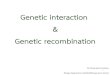Genetic interaction Genetic recombination · Extra Mendelian Inheritance Genetic Interaction Genetic recombination Extrachromosomal inheritance 2 . Genetic InteractioN Dominant effect