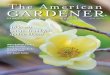 The American h An GARDENER · The Magazine of the American Horticultural Society 10 great Small Trees for spring bloom March / April 2017 Mii JD ly iii fCr Dis Meet Daffodil Fanatic