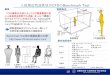 人体周辺気流性状のCFD Benchmark Testvenus.iis.u-tokyo.ac.jp/research/pdf/0402.pdf人体周辺気流性状のCFDのBenchmark Test 加藤研究室・大岡研究室・菊本研究室
