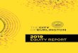 2019 - burlingtonvt.gov · The 2019 Equity Report looks at data across multiple levels. It provides equity indicator metrics that help evaluate disparities in the community (and that