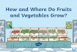 How Do Potatoes Grow? - Exwick Heights Primary …...Where Do Fruits and Vegetables Grow? Some fruits and vegetables can only be grown in the United Kingdom during the summer, when
