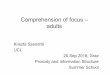 Comprehension of focus – adults - Universität Graz · 2018-09-20 · = {I didn’t give x to the fireman AND I didn’t give y to the fireman AND I didn’t give z to the fireman
