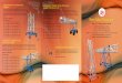 SHREE Balaji Aluminiumaluminiumladderkolkata.com/images/catalogue.pdf · 2014-11-17 · Aluminium Tiltable Tower Extension Ladder With platform, guard rails, tools tray, wire rope