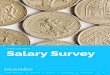 Salary Survey · 4 Respondent profile 8 Market profile 16 Salaries 22 Testimonials WELCOME TO THE BLUE SKIES 2018 Salary Survey 2017 proved, as anticipated, to be another interesting