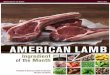 AMERICAN LAMB€¦ · Lamb is a primary protein in many countries throughout the world, especially in regions of North Africa, the Middle East and parts of Europe. American lamb is